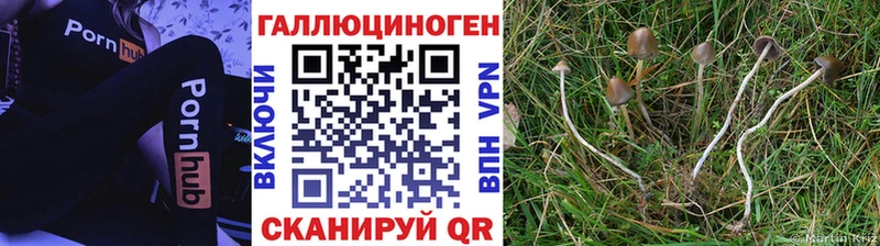 Галлюциногенные грибы мухоморы  дарнет шоп  Барнаул 